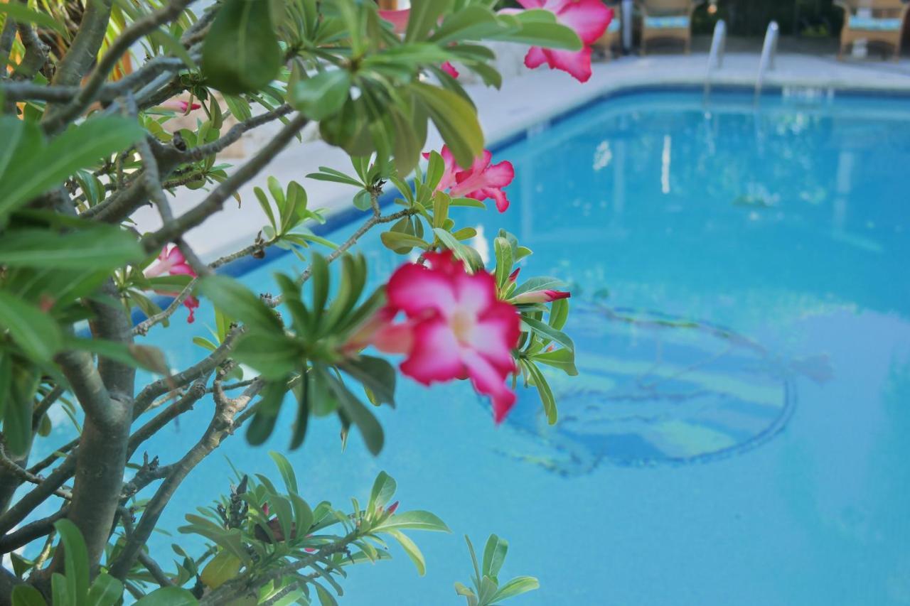 Heron House (Adults Only) Key West Exterior foto